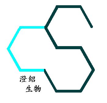 上海澄紹生物科技有限公司logo