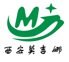 西安莫吉娜儀器制造有限公司logo