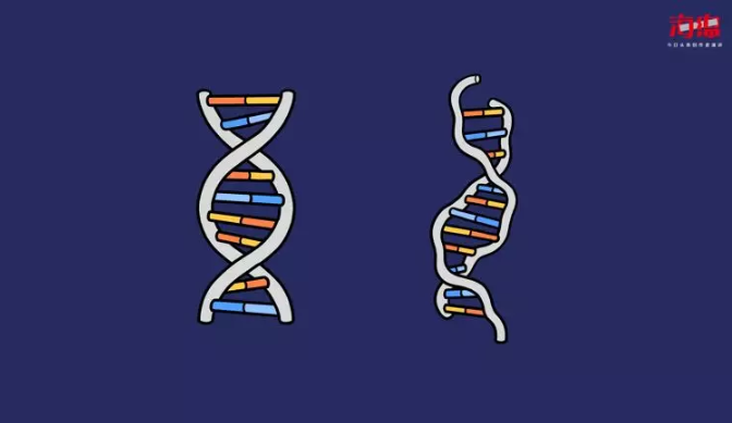 1557798234413940.png image.png