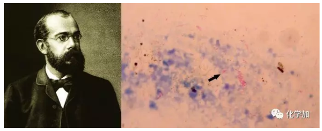 1568772774129423.png image.png