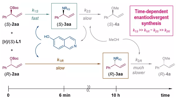 1593570318810116.png image.png