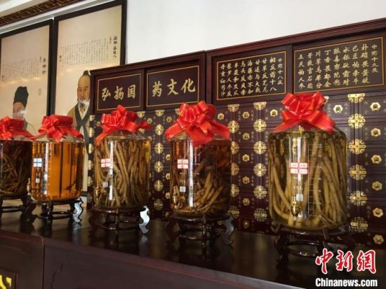 2020年6月，甘肅省定西市渭源縣田家河鄉(xiāng)元古堆村一家中藥材生產(chǎn)加工企業(yè)的藥材展示。 (資料圖) 張婧 攝