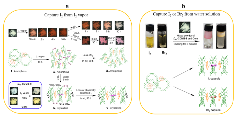 1609399873283501.png image.png