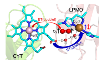 1609404027706636.png QQ截圖20201231164016.png