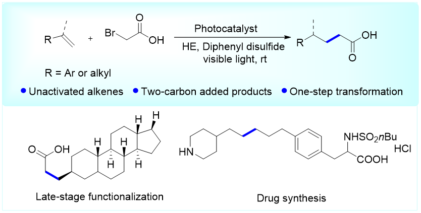 202012291609213361139656.png 202012291609213361139656.png