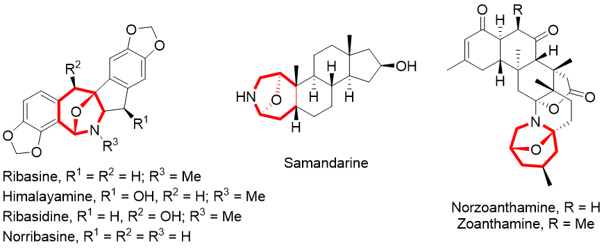 202012291609212272345847.png 202012291609212272345847.png