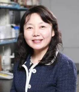 1636260066623098.png image.png