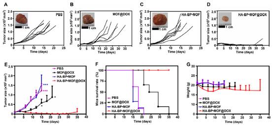 圖示描述已自動生成