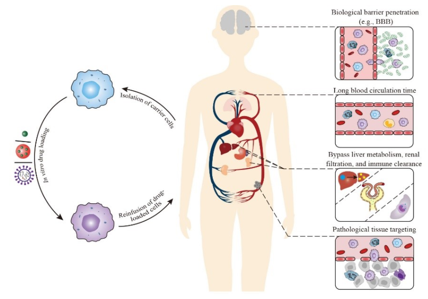 1657077609551818.png 3.png