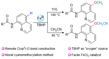 1657098958611301.jpg 圖 1.jpg