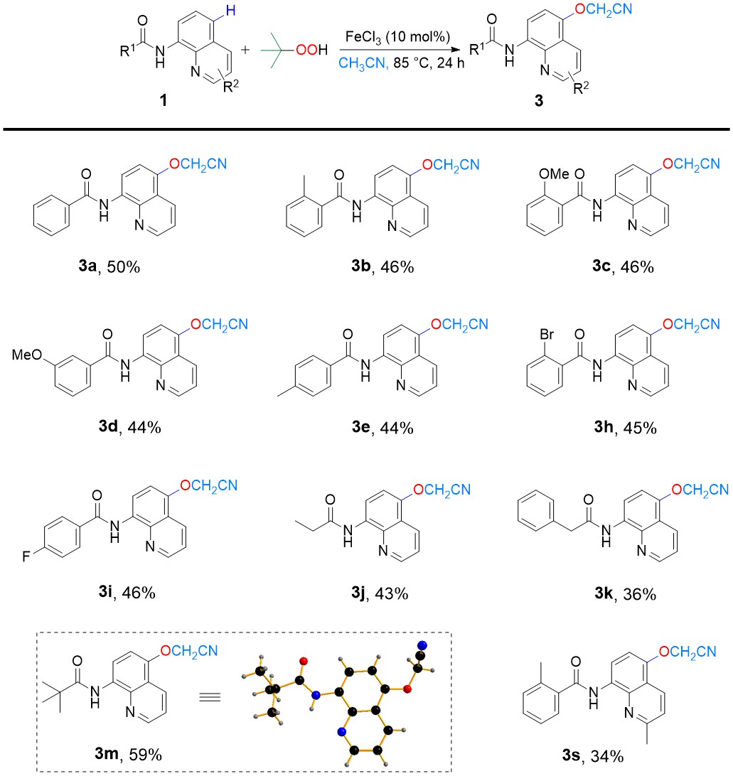 1657098984579624.jpg 圖 3.jpg