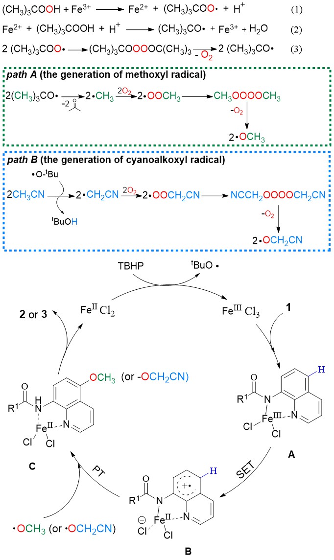 1657098997626228.jpg 圖 4.jpg