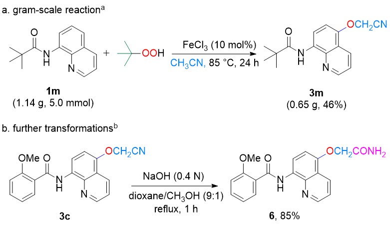 1657099047654827.jpg 圖 5.jpg