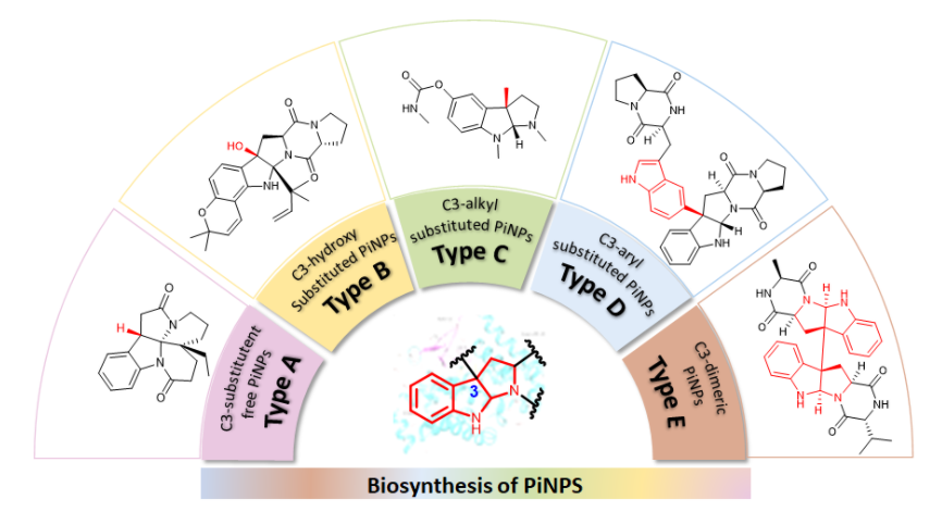 1657508664492929.png image.png