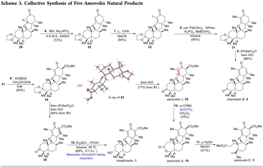 1658129465322881.png 基6.png