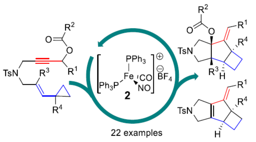 1658798332897630.png 鐵1.png