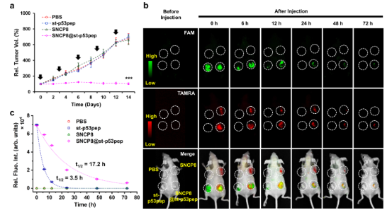 1660274085995213.png image.png