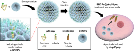 1660274142452942.png image.png