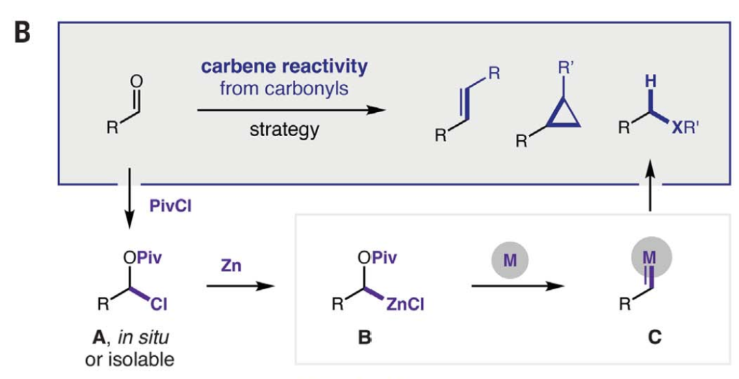 1660782725696189.png 4.png