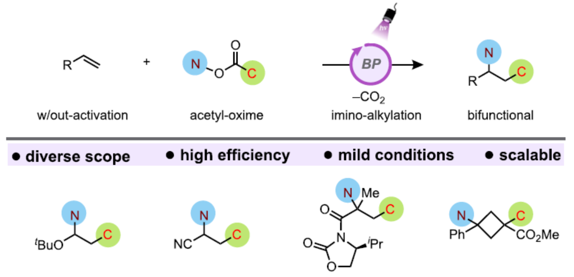 1661223530944511.png 圖片1.png