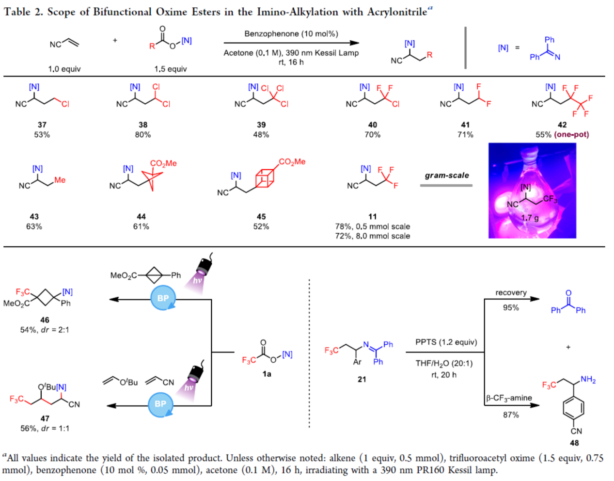 1661223563974285.png 圖片5.png