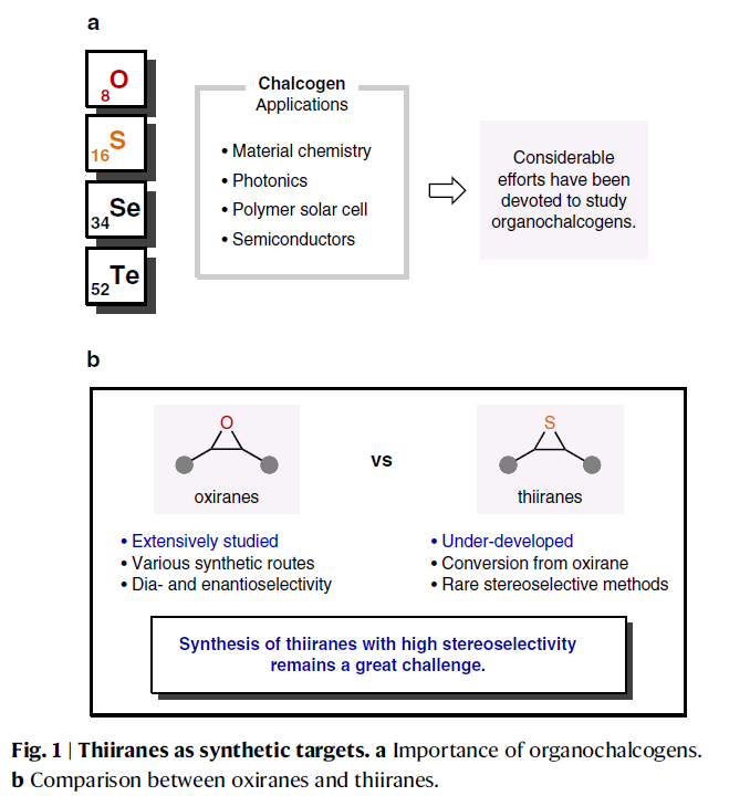 1661320739198832.png 圖片3.png