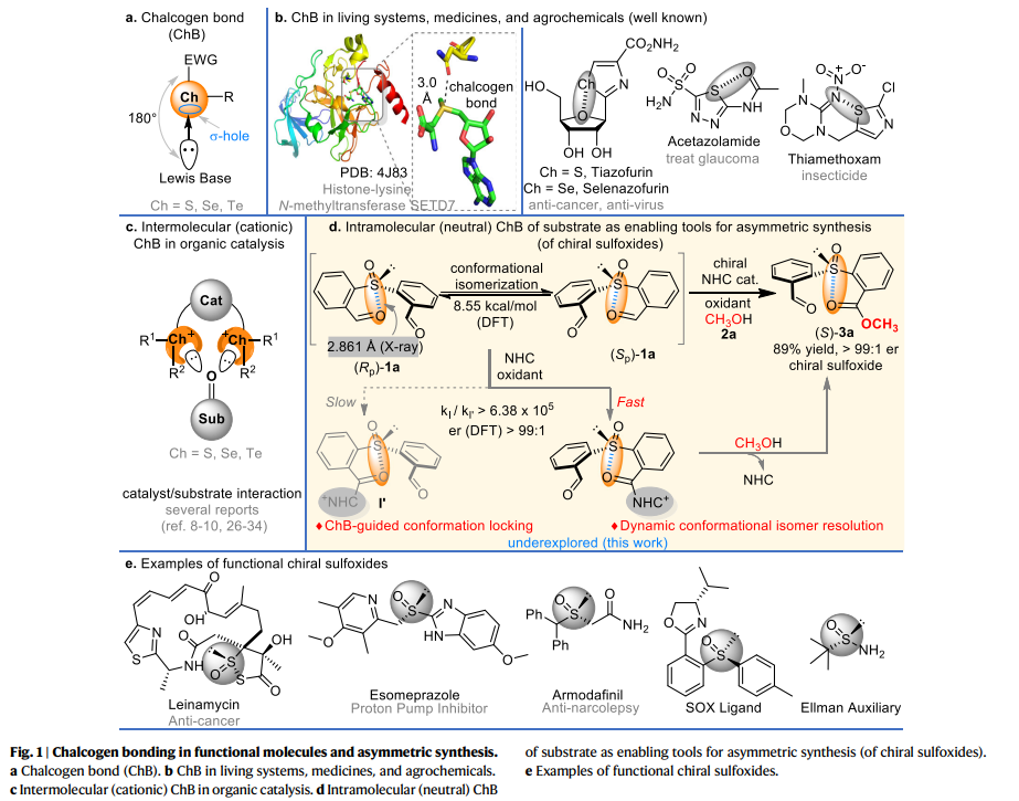 1661333887707448.png 圖片1.png