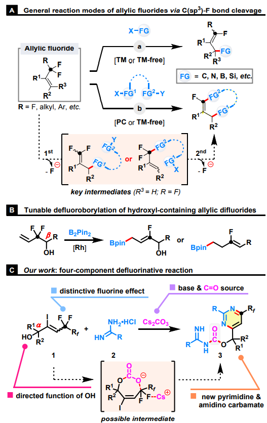 1661410714895001.png 圖片1.png