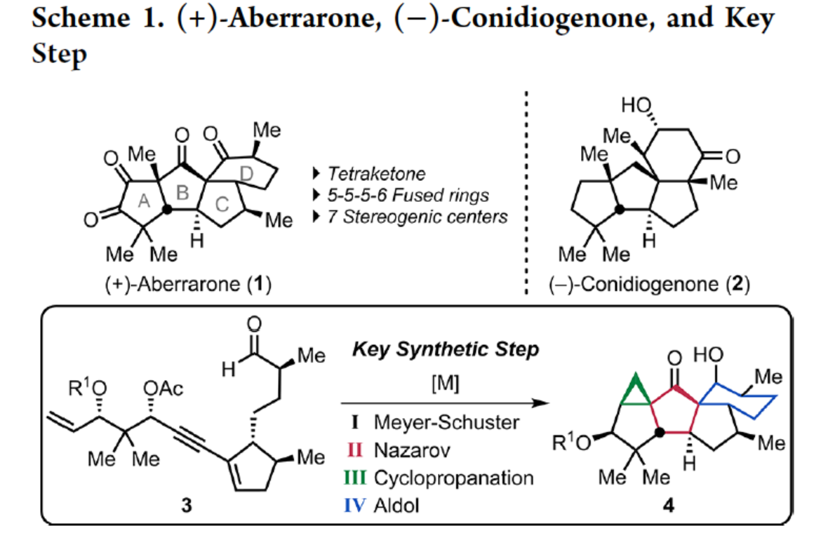 1661416170891082.png 圖片2.png