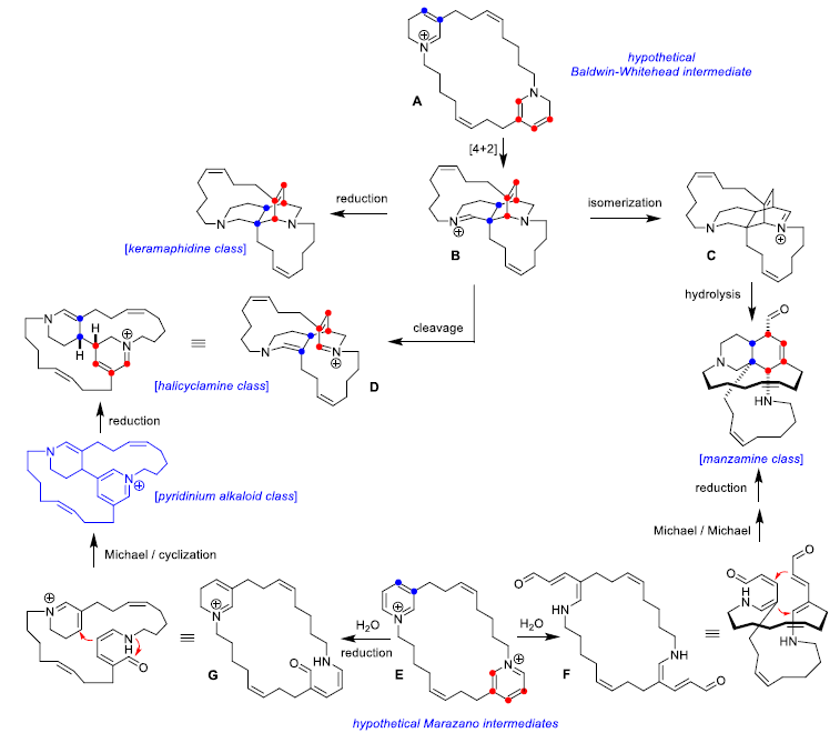 1661418373901549.png 圖片1.png