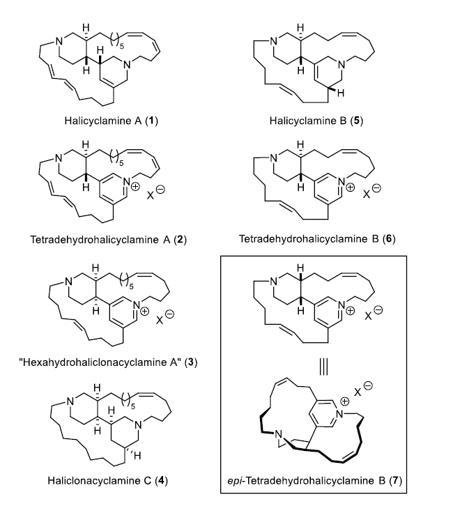 1661418381113789.png 圖片2.png