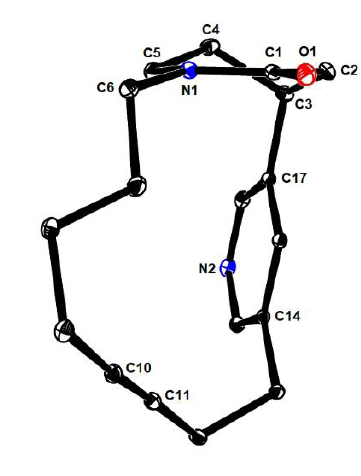 1661418430743121.png 圖片7.png