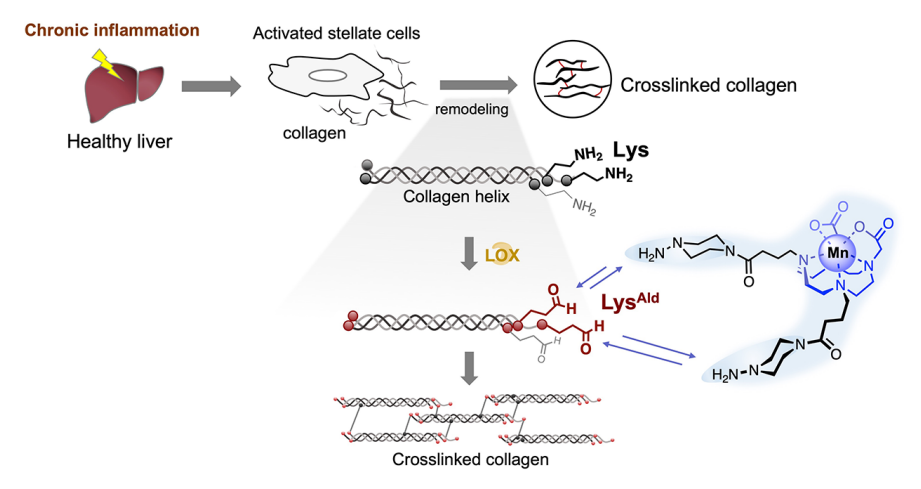 1661761443246831.png 圖片1.png