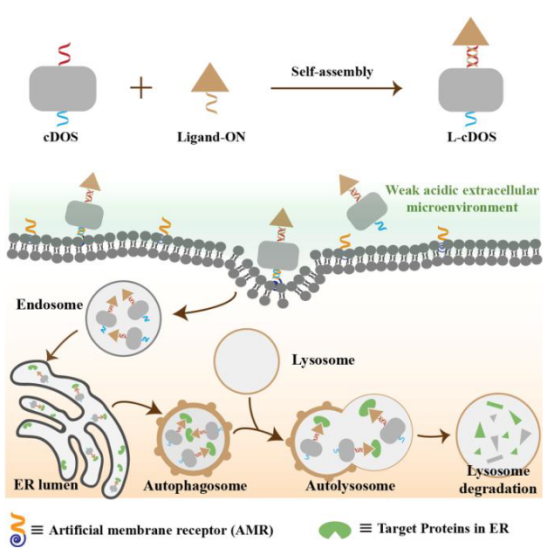 1662943305743546.png 9101.png