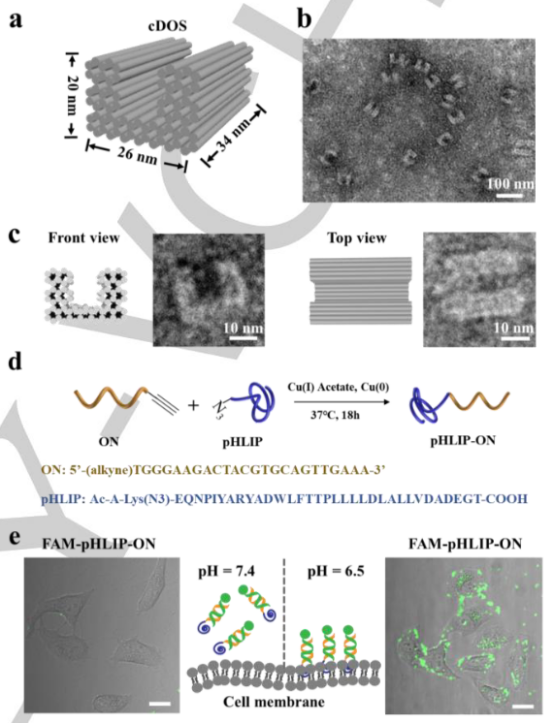 1662943386486073.png 9102.png