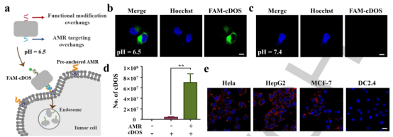 1662943431929865.png 9103.png