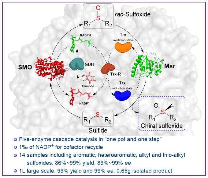 1662943908631444.png 9201.png