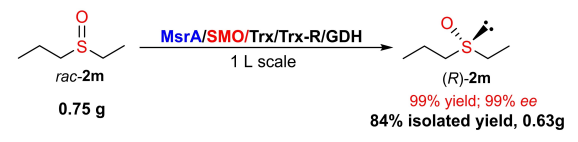 1662943962289981.png 9204.png