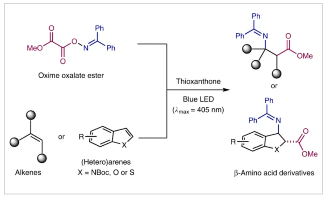 1662947709208624.png 9601.png