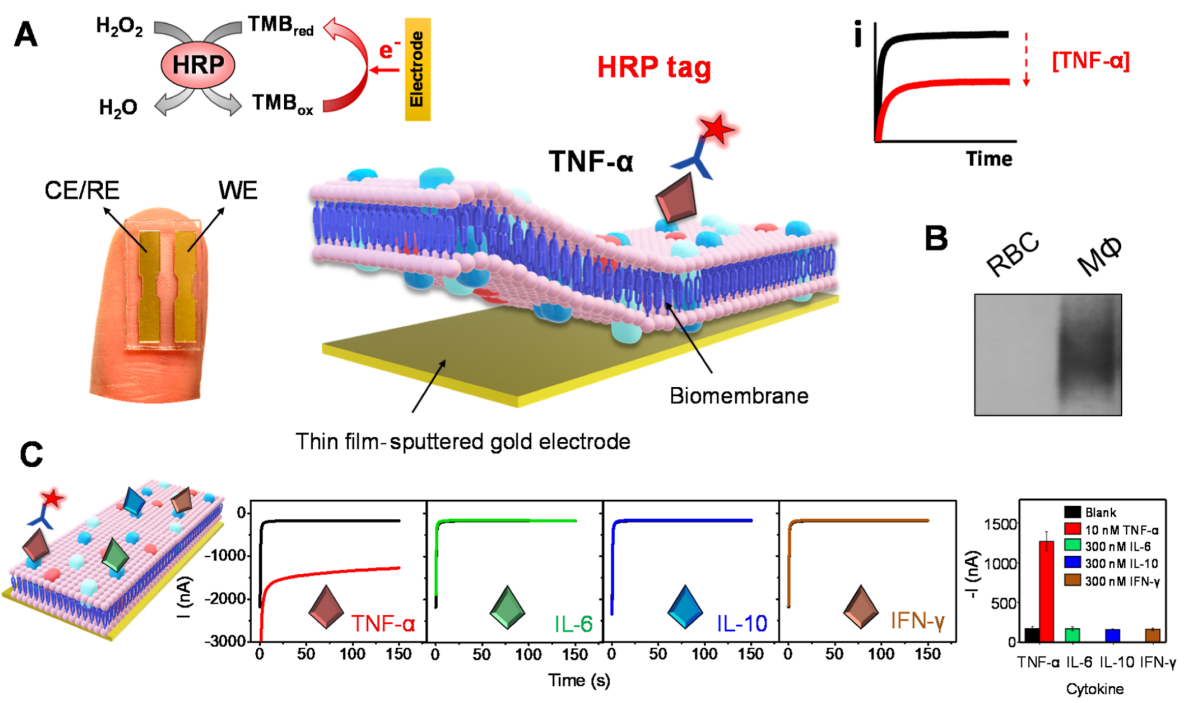 1666233466604965.png 圖片2.png