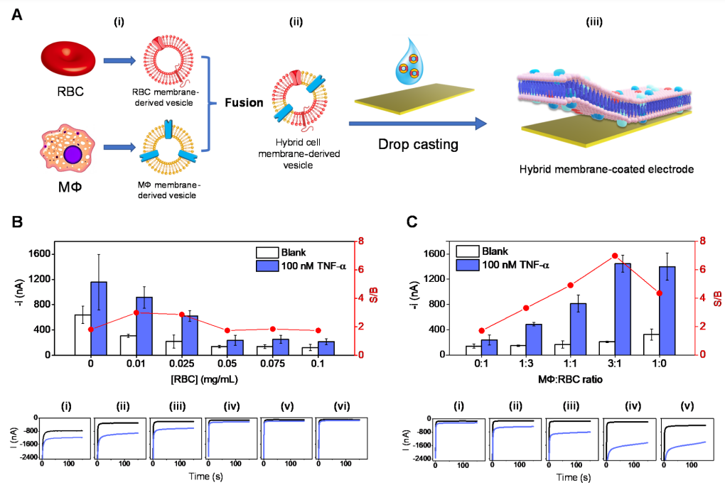 1666233473466468.png 圖片3.png