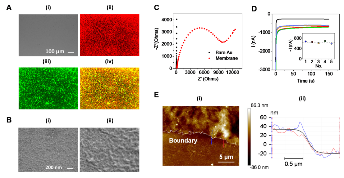 1666233478889311.png 圖片4.png