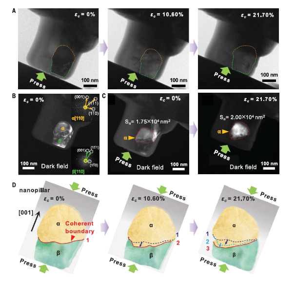 1667540625558687.png image.png