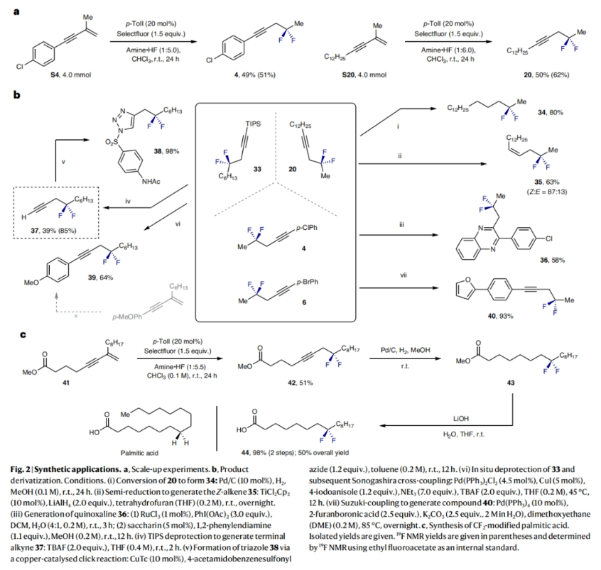 1697765263871794.png image.png