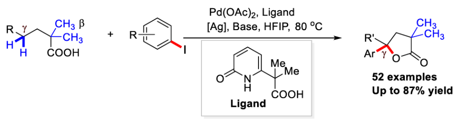 1697765928901610.png image.png