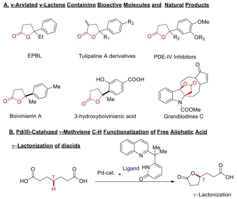 1697765944209338.png image.png