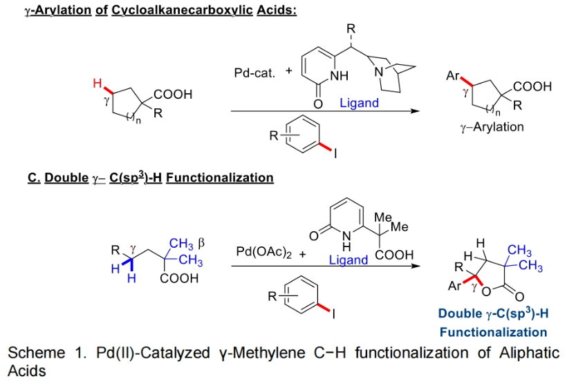 1697765978426093.png image.png