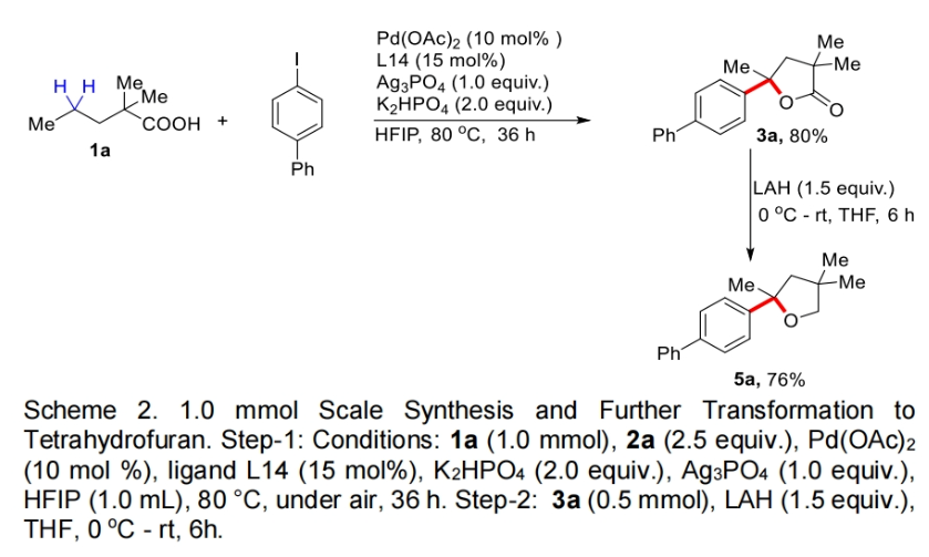 1697766110127657.png image.png