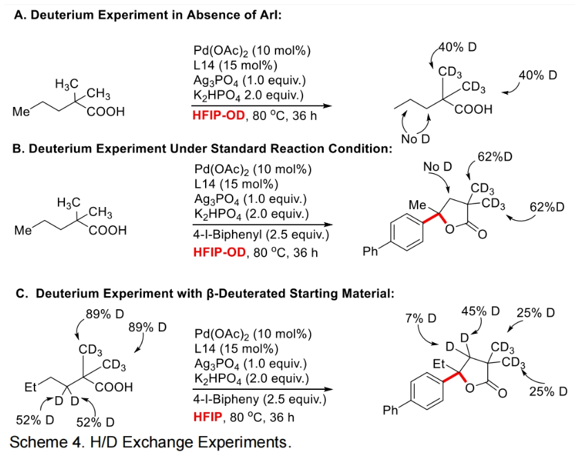 1697766146744778.png image.png