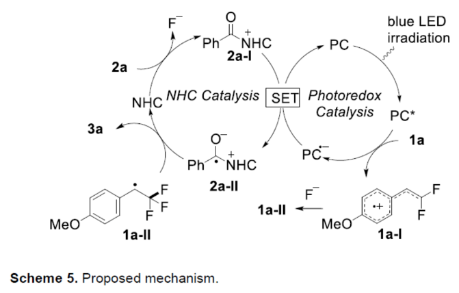 1698204300909193.png image.png